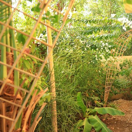 Appartamento Luxor Nile View Flats Esterno foto