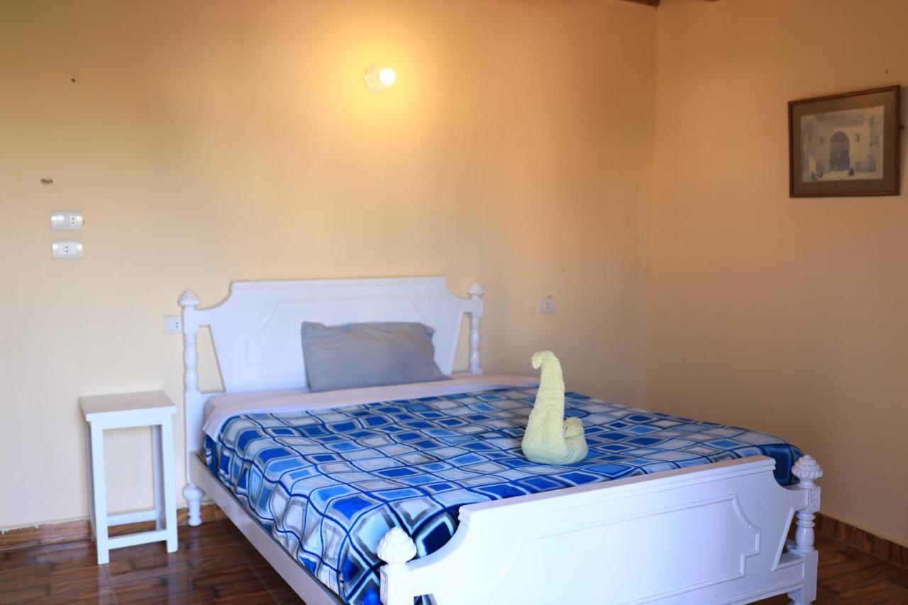 Appartamento Luxor Nile View Flats Esterno foto