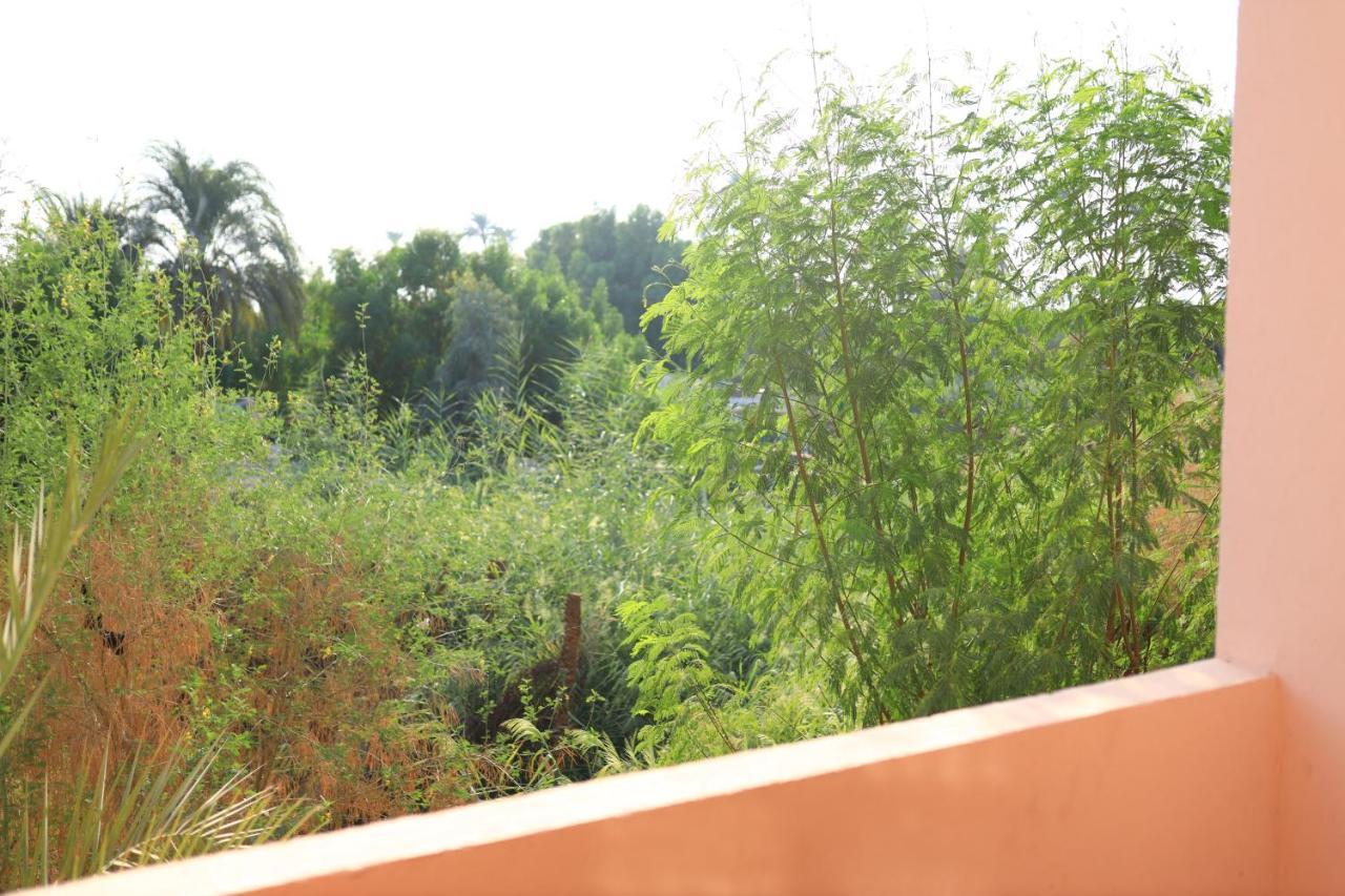 Appartamento Luxor Nile View Flats Esterno foto